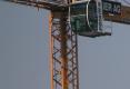 Crane