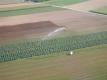 farmers watering