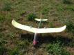 wingo top