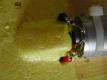 other engine
