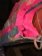 fuselage cracked