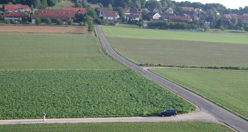 Habsburg Airport :-)