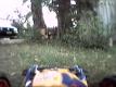 speeding in the garden