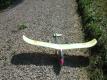 main wing is undamaged