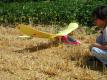 oups - that wing looks bad