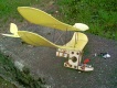 plane front view