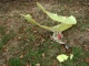 plane down