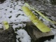 damage assessment
