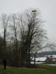 Plane landed on a tree