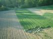harvesting closeup