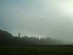 fogy