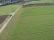big field, wires nearby