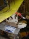 modified wingo on the scale
