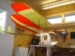 painted one wing only