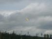 go fly over those trees