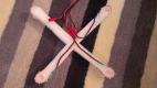 foot